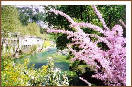 Fontaine de Vaucluse