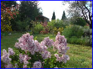 Le jardin