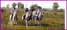 Camargue
