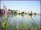 Avignon