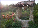 Le puits fleuri