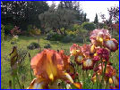 Agréable jardin