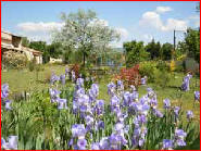 Le jardin