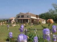 Le jardin
